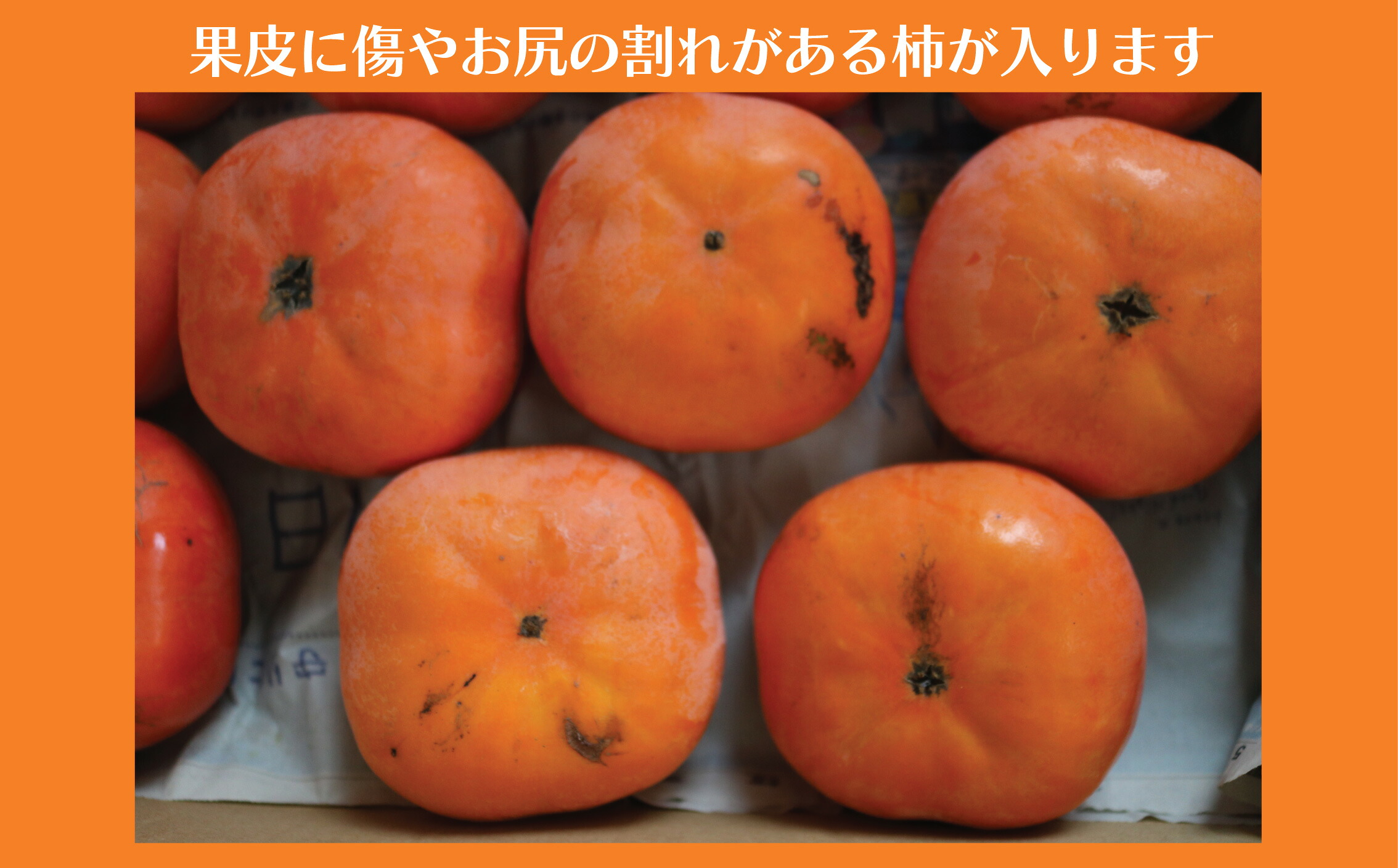 柿 富有柿 次郎柿 5kg 品種おまかせ 訳あり 訳アリ わけあり 先行予約 2026年11月中旬以降順次発送予定 かき カキ kaki 人気柿 くだもの 果物 果実 フルーツ 旬 新鮮 数量限定