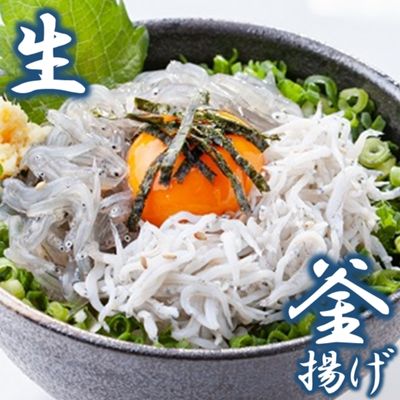 生しらす 釜揚げしらす 計440g 120g × 2 パック 100g × 2 パック シラス 魚 釜揚げ 生 湘南しらす sirasu じゃこ ちりめん しらす干し 江の島しらす イワシ 小分け 便