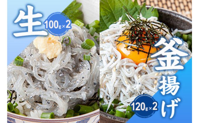 生しらす 釜揚げしらす 計440g 120g × 2 パック 100g × 2 パック シラス 魚 釜揚げ 生 湘南しらす sirasu じゃこ ちりめん しらす干し 江の島しらす イワシ 小分け 便