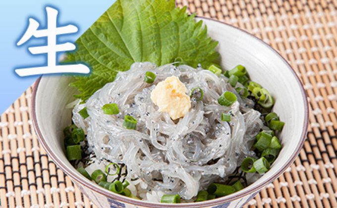 生しらす 釜揚げしらす 計440g 120g × 2 パック 100g × 2 パック シラス 魚 釜揚げ 生 湘南しらす sirasu じゃこ ちりめん しらす干し 江の島しらす イワシ 小分け 便