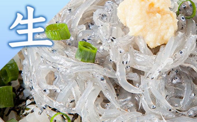 生しらす 釜揚げしらす 計440g 120g × 2 パック 100g × 2 パック シラス 魚 釜揚げ 生 湘南しらす sirasu じゃこ ちりめん しらす干し 江の島しらす イワシ 小分け 便