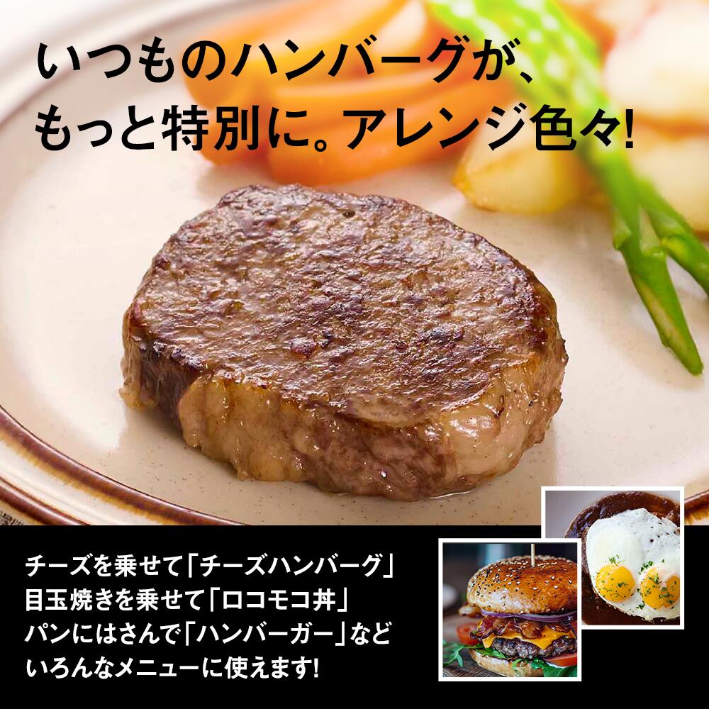 [5営業日以内発送] 柏木牧場特製 生ハンバーグ 160g×4個 [国産牛100%] ジュワッと肉汁まで美味い！(冷蔵配送) [0354]