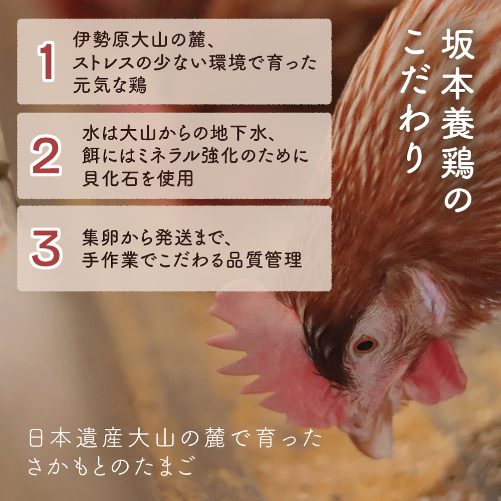 [特別定期便全12回] たまご 2回目以降はお好きなタイミングでお届け！ 坂本養鶏 大山の麓で育ったさかもとのたまご 合計960個 (80個×12回) [0399b]