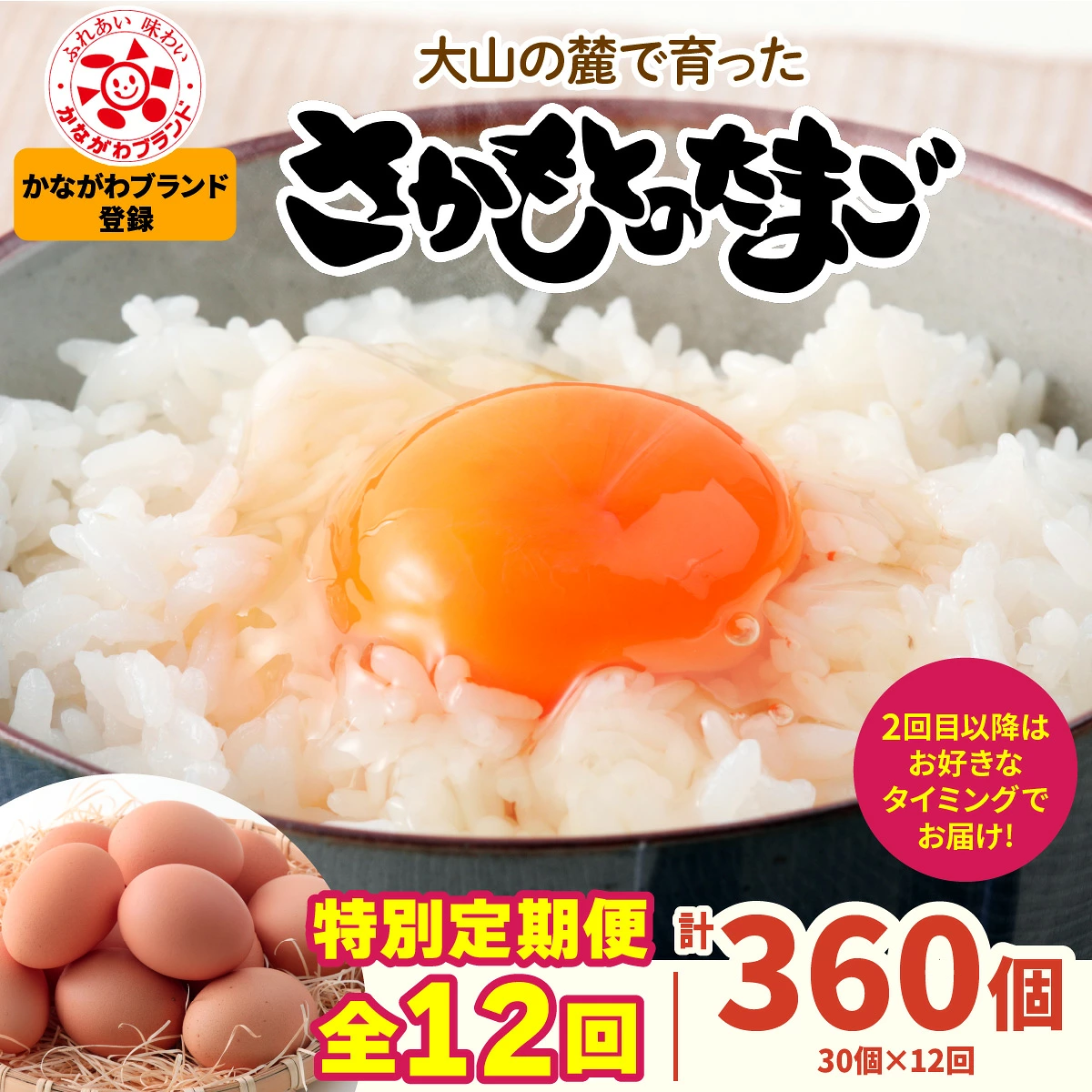 [特別定期便全12回] さかもとのたまご 2回目以降はお好きなタイミングでお届け！ 合計360個 (30個×12回) [1026]