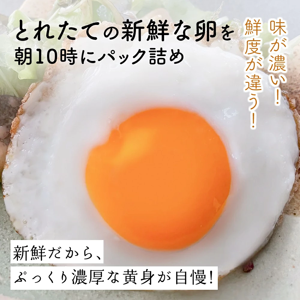 [特別定期便全12回] さかもとのたまご 2回目以降はお好きなタイミングでお届け！ 合計360個 (30個×12回) [1026]