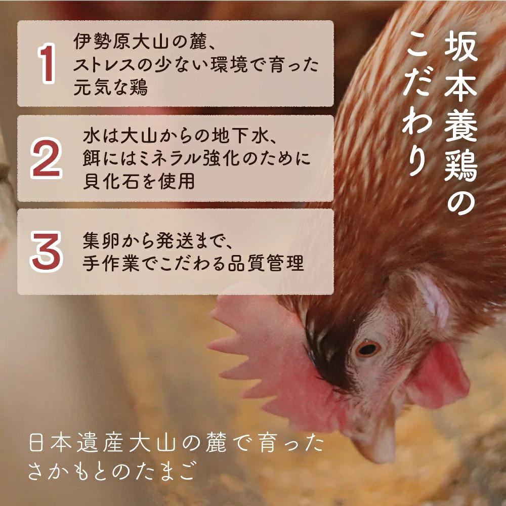 [特別定期便全12回] さかもとのたまご 2回目以降はお好きなタイミングでお届け！ 合計360個 (30個×12回) [1026]