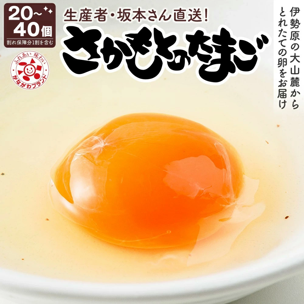 坂本養鶏 大山の麓で育った さかもとのたまご [選べる数量： 20個から40個 (割れ保証含む)] [1122-1124]