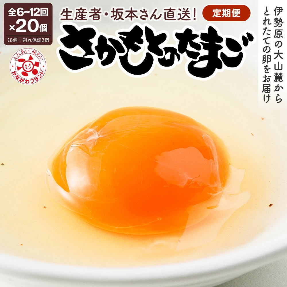 [定期便 選べる回数：6ヶ月・12ヶ月／月1回・月2回] さかもとのたまご 20個 (18個＋割れ保証2個) 合計120個or240個] [1125-1129]