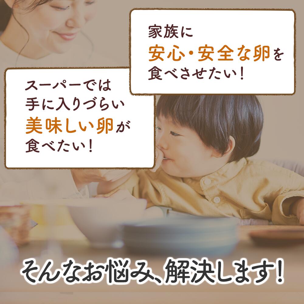 [選べる回数：1回・6回／月1回・月2回] さかもとのたまご 60個 (54個＋割れ保証6個) 合計60個or360個] [1297-1300]