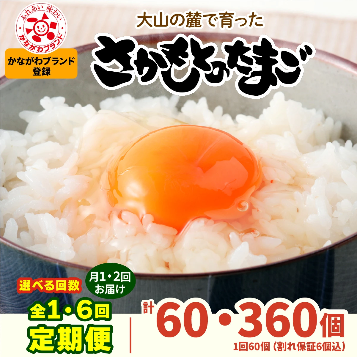 [選べる回数：1回・6回／月1回・月2回] さかもとのたまご 60個 (54個＋割れ保証6個) 合計60個or360個] [1297-1300]