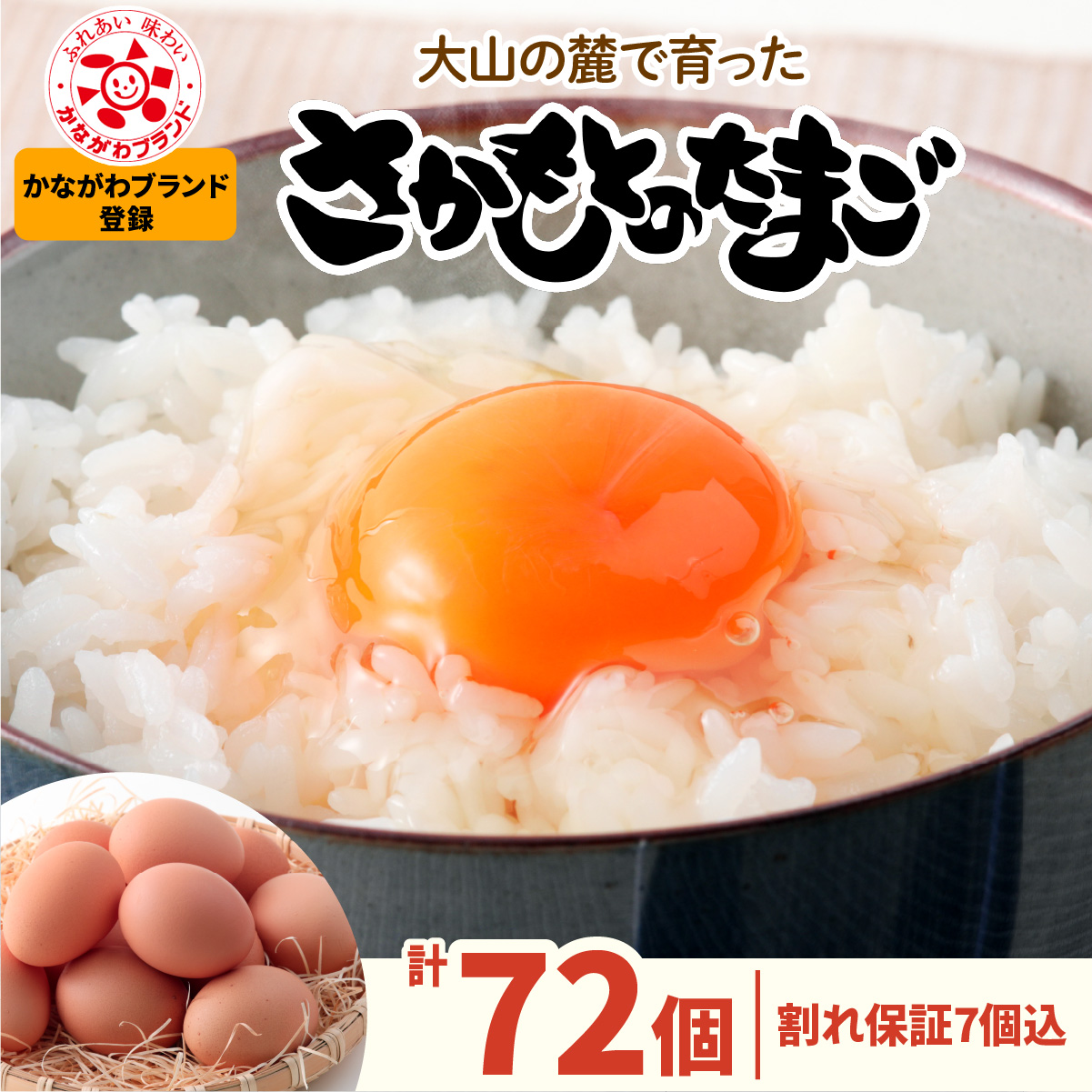[選べる回数：1回・6回／月1回・月2回] さかもとのたまご 72個 (65個＋割れ保証7個) 合計72個or432個] [1301-1304]
