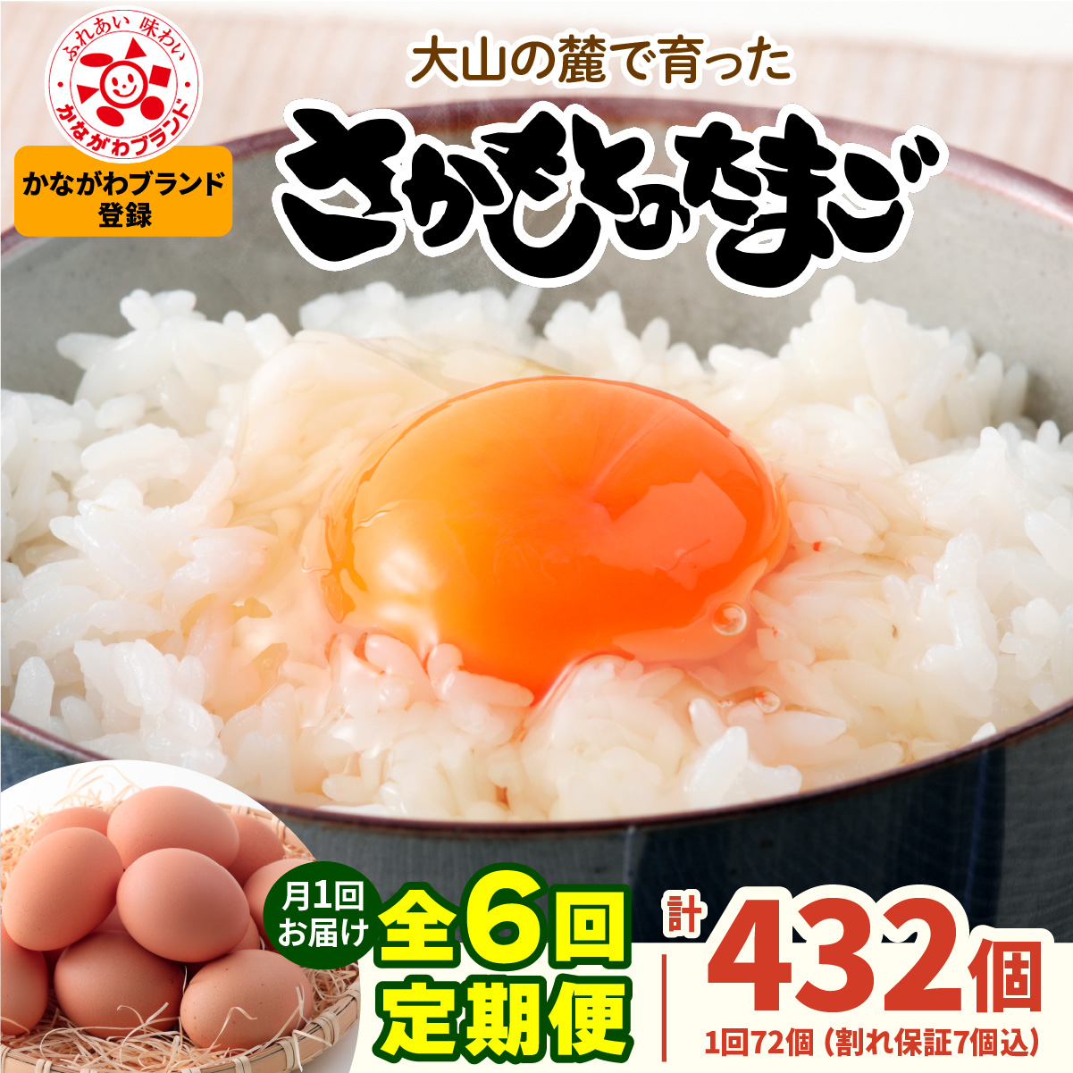 [選べる回数：1回・6回／月1回・月2回] さかもとのたまご 72個 (65個＋割れ保証7個) 合計72個or432個] [1301-1304]