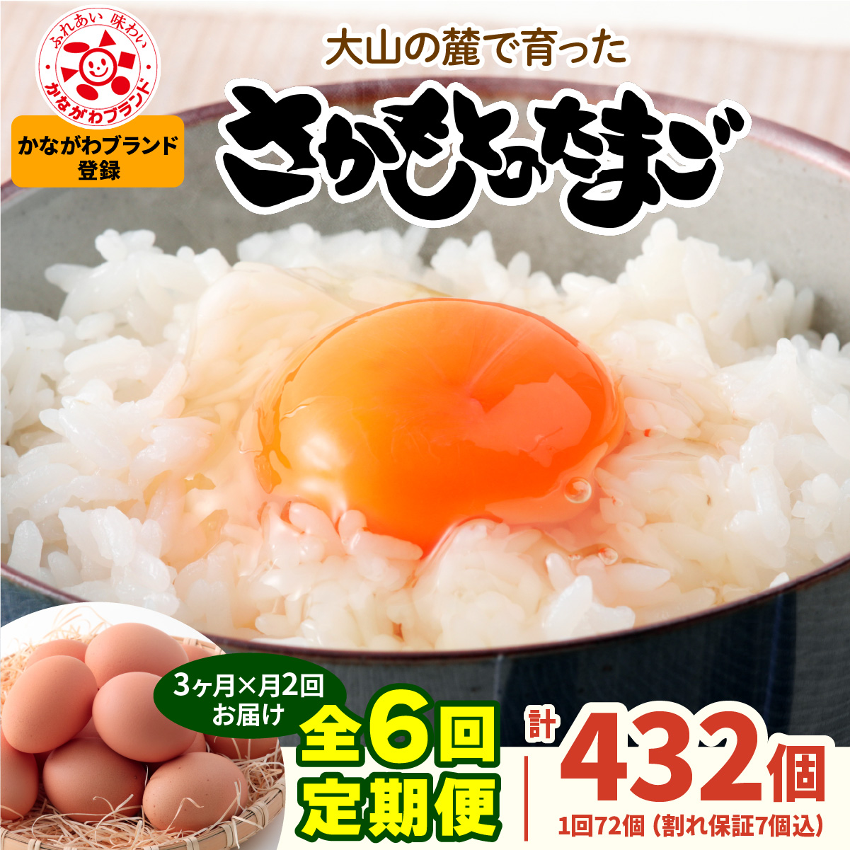 [選べる回数：1回・6回／月1回・月2回] さかもとのたまご 72個 (65個＋割れ保証7個) 合計72個or432個] [1301-1304]