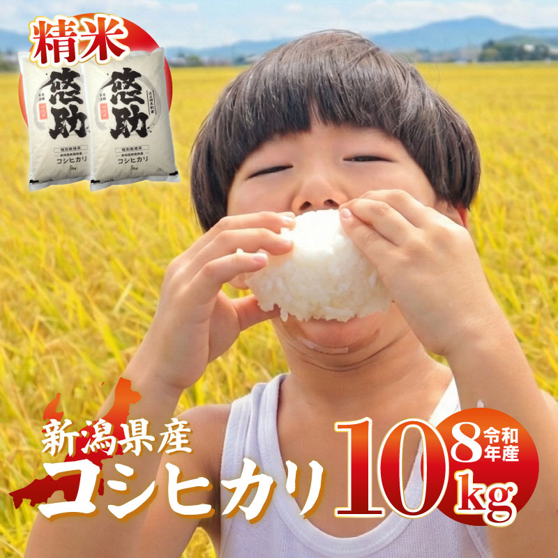 先行予約　新米 新潟県産 コシヒカリ 10kg 5kg×2袋 11月発送 新潟 米 お米 白米 お米 こめ コメ ご飯 ごはん kwsKH003_01_202611_E