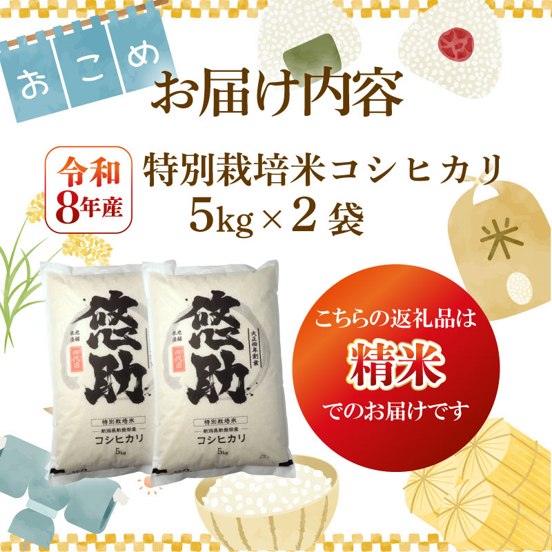 先行予約　新米 新潟県産 コシヒカリ 10kg 5kg×2袋 11月発送 新潟 米 お米 白米 お米 こめ コメ ご飯 ごはん kwsKH003_01_202611_E