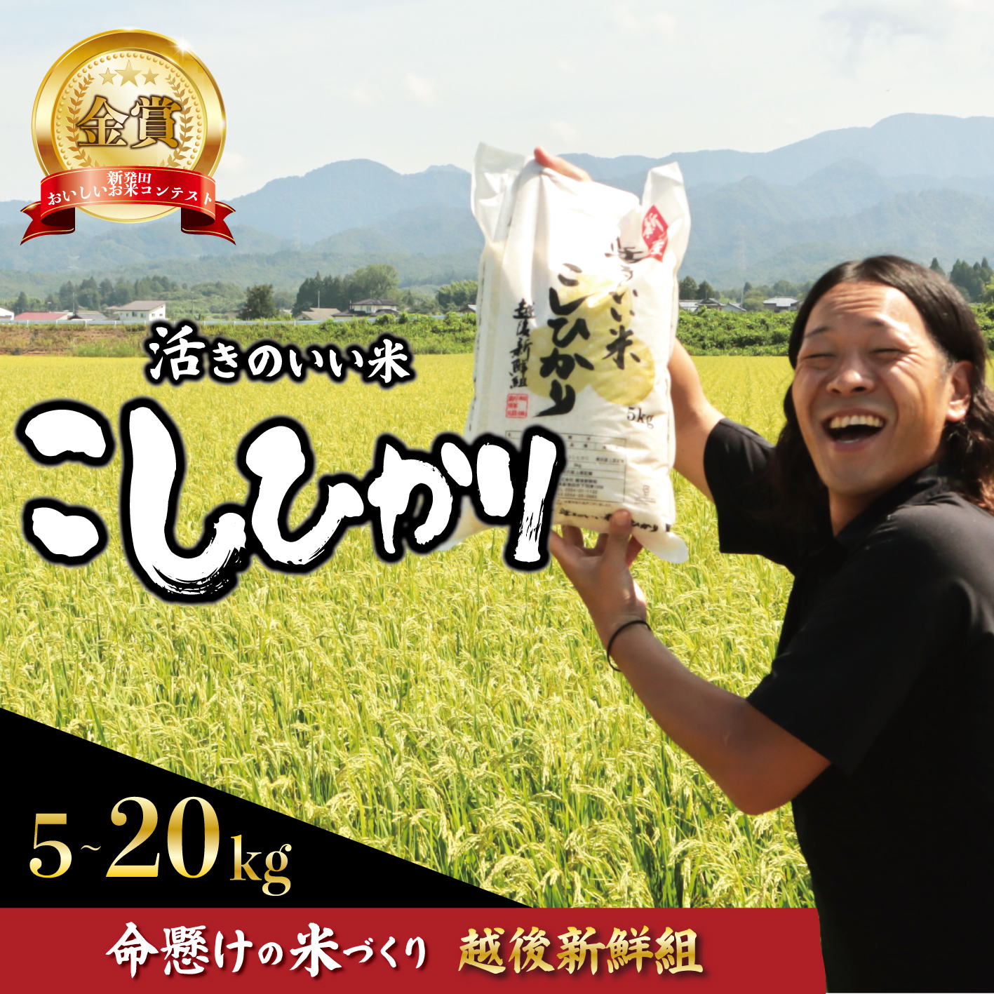 【応援お願いします】 金賞米 新潟 コシヒカリ 5kg 令和8年産 先行予約 新米 米 こしひかり 精米 白米 こめ おすすめ 好評 農家 越後新鮮組 新潟県 新発田市 shinsengumi001P