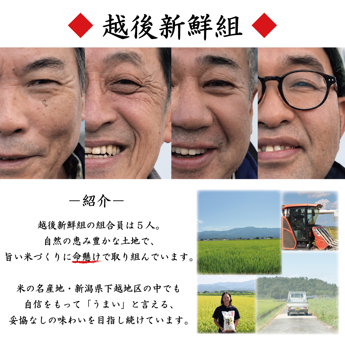 【応援お願いします】 金賞米 新潟 コシヒカリ 5kg 令和8年産 先行予約 新米 米 こしひかり 精米 白米 こめ おすすめ 好評 農家 越後新鮮組 新潟県 新発田市 shinsengumi001P