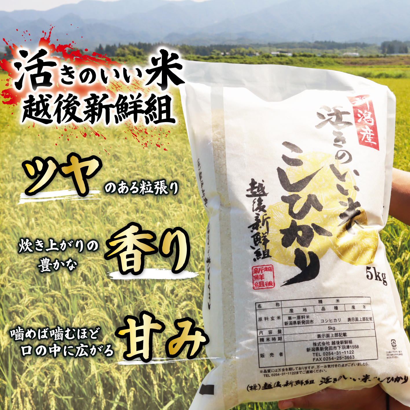 【応援お願いします】 金賞米 新潟 コシヒカリ 5kg 令和8年産 先行予約 新米 米 こしひかり 精米 白米 こめ おすすめ 好評 農家 越後新鮮組 新潟県 新発田市 shinsengumi001P