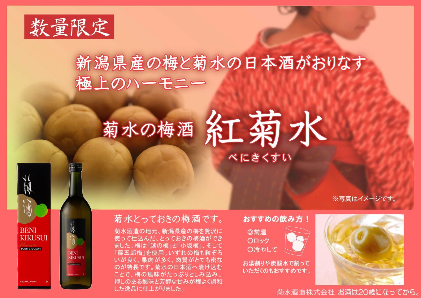 菊水酒造 梅酒 紅菊水 720ml×2本 日本酒 純米酒 酒 お酒 梅 地酒 リキュール 菊水 新潟 新発田 贈答 ギフト プレゼント 四合瓶 お祝い お歳暮 お正月 年末年始 E112_01