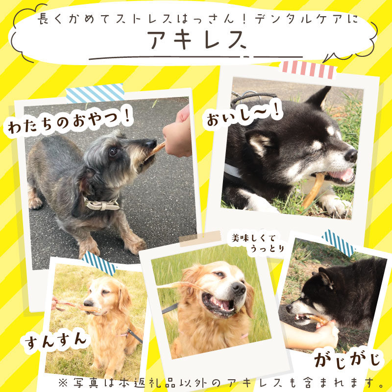 ドッグフード 馬アキレスロング 薄め 9本～1kg アキレス ロング ペット おやつ ペット用品 犬用 無添加 無着色 安心 安全 自然食品  KT001P