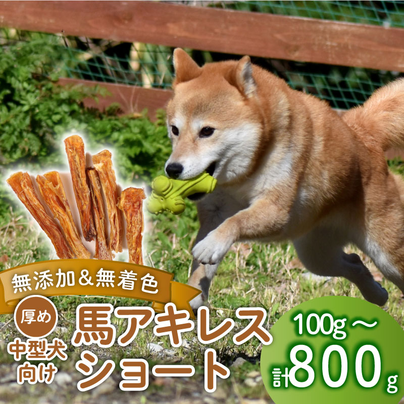 ドッグフード 馬アキレスショート 100g~800g