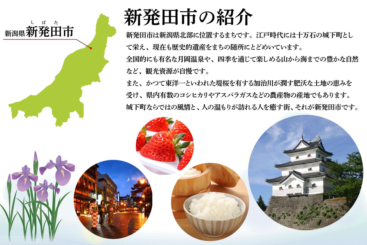 王紋酒造 蔵人厳選飲み比べセット 計6本 日本酒 酒 お酒 地酒 純米酒 純米 大吟醸 王紋 純米吟醸 かれん 甘口純米 aumont012_01