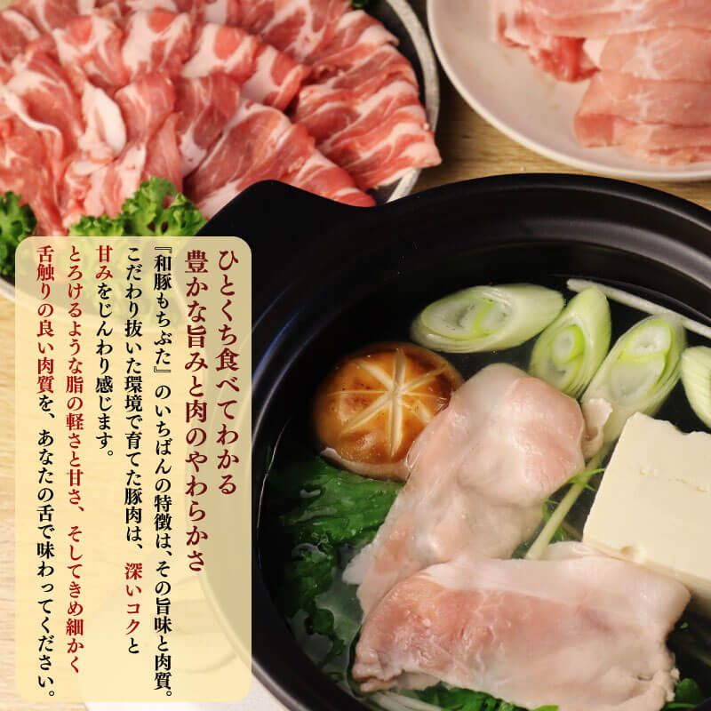 和豚もちぶた100％ ハンバーグ 10個 20個 ブランド豚 和豚 もちぶた 豚 豚肉 肉  肉料理 夕食 晩ごはん 惣菜 弁当 ごはん 米 お供 ポーク katayama015P