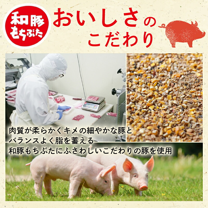 和豚もちぶた100％ ハンバーグ 10個 20個 ブランド豚 和豚 もちぶた 豚 豚肉 肉  肉料理 夕食 晩ごはん 惣菜 弁当 ごはん 米 お供 ポーク katayama015P
