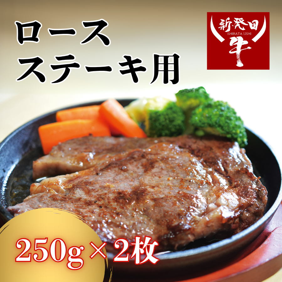 国産 新発田牛 ロース ステーキ用 500g ( 250g × 2枚 ) 牛肉 ブランド 和牛 にいがた和牛 黒毛和牛 先崎畜産 牛ロース ロース肉 冷凍 ギフト 新潟県 新発田市 H08_01