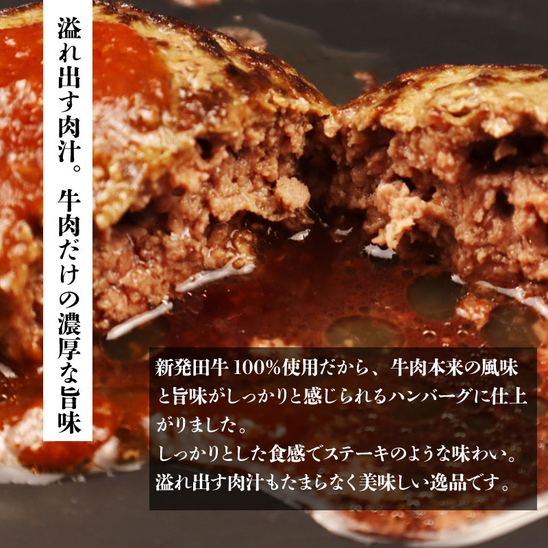 国産 牛 100%使用 真空 生ハンバーグ 5個 800g 10個 1.6kg 先崎畜産 新発田牛 肉 国産 手ごね ハンバーグ 冷凍 H21_02P