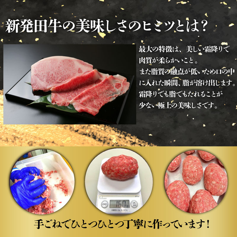 国産 牛 100%使用 真空 生ハンバーグ 5個 800g 10個 1.6kg 先崎畜産 新発田牛 肉 国産 手ごね ハンバーグ 冷凍 H21_02P