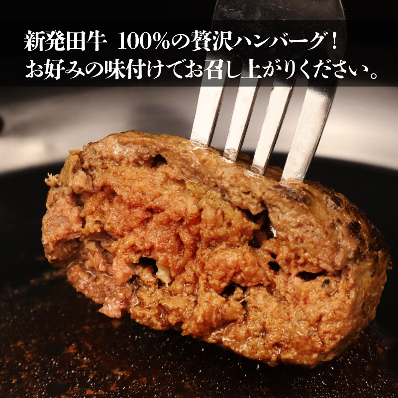 国産 牛 100%使用 真空 生ハンバーグ 5個 800g 10個 1.6kg 先崎畜産 新発田牛 肉 国産 手ごね ハンバーグ 冷凍 H21_02P