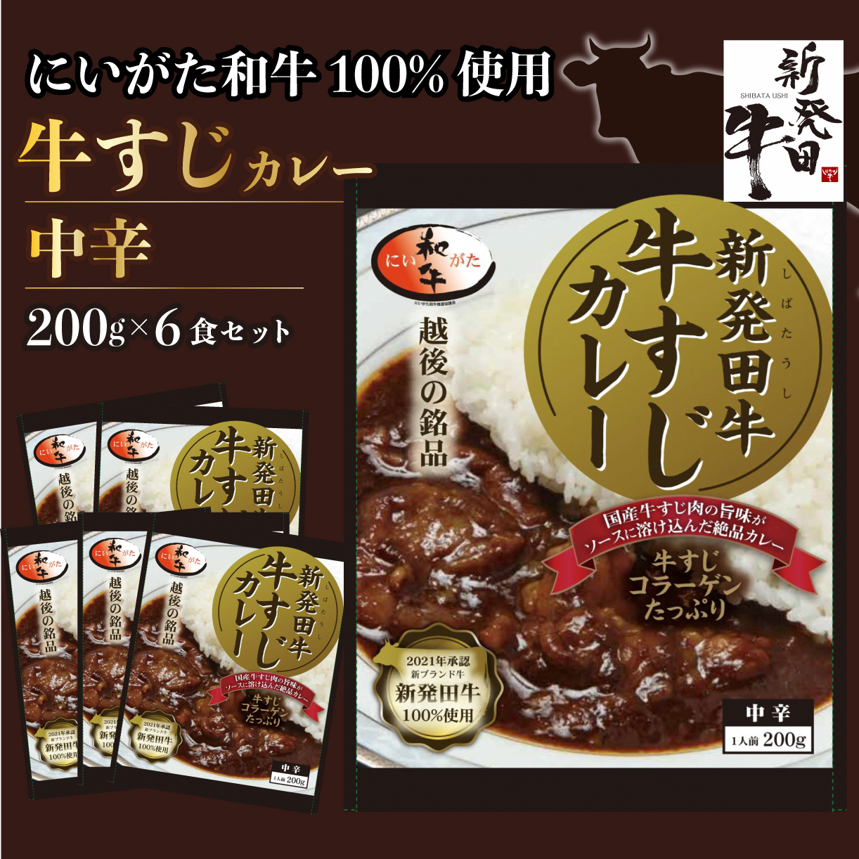 牛すじ カレー 6個 セット 200g×6 中辛 パック 牛肉 肉 和牛 レトルト 新発田牛 国産牛 厳選和牛 贅沢 牛肉 国産 ご飯 にいがた ブランド牛 新潟県 新発田市 H23_02