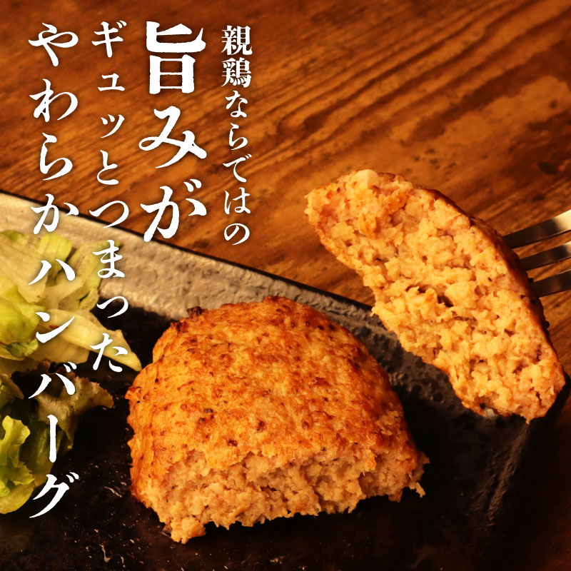 親鶏 ハンバーグ 5個 500g 100g × 5 パック 鶏肉 鶏 チキン タンパク つくね 肉 とり 精肉 ブランド鶏 おかず おつまみ 冷凍 簡単調理 新潟親鶏 新潟産 maruco003