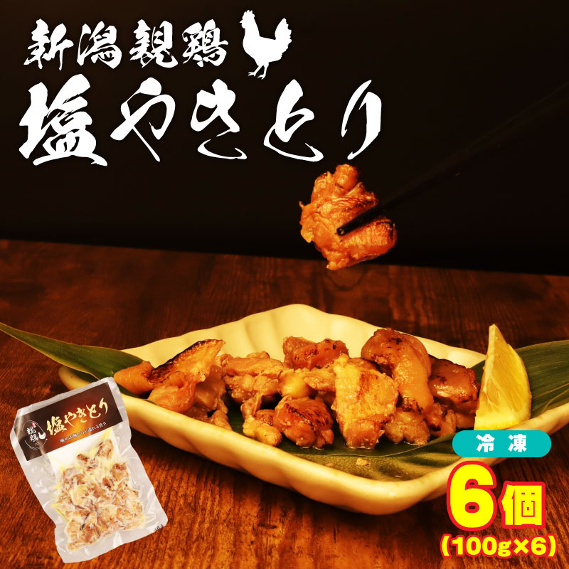 親鶏 塩やきとり 6個 600g 100g×6 パック 鶏肉 鶏 チキン タンパク やきとり 焼き鳥 塩 肉 とり ブランド鶏 おかず 冷凍 簡単調理 味付き モモ ムネ おつまみ maruco004