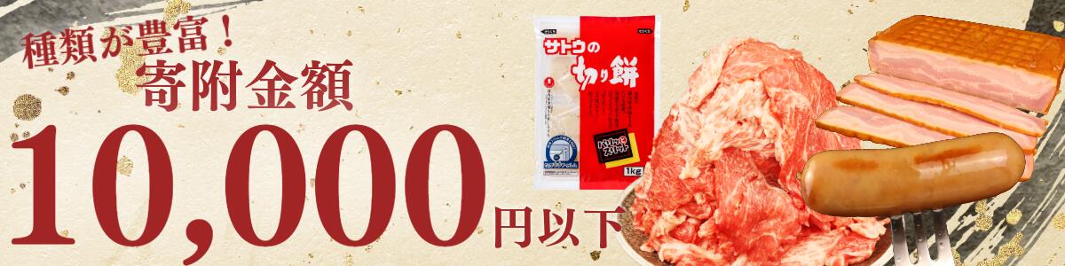 選べる13種類 おかき さくら製菓 12個入りスタンドパック お菓子 和菓子 ライス 米 お米 もち米 せんべい 煎餅 おかき 米菓 間食 おやつ sds001P