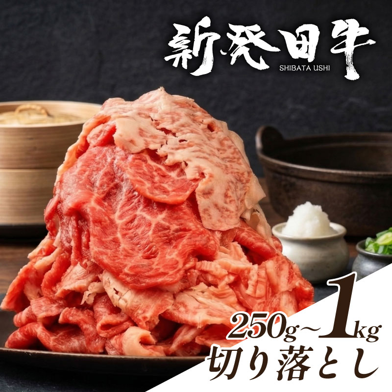【新潟の宝】 牛肉 切り落とし 250g 500g 1kg 肉 和牛 霜降り ブランド牛 新発田牛 にいがた和牛 しゃぶしゃぶ 小分け 小間切れ 新潟県 新発田市 新潟 新発田 enomoto001P