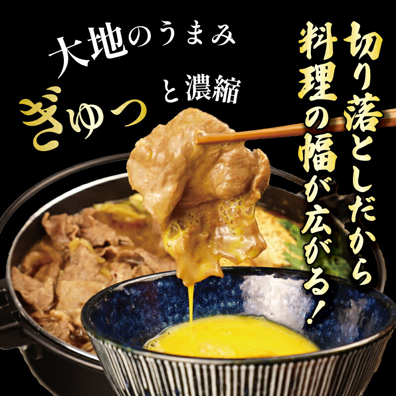 【新潟の宝】 牛肉 切り落とし 250g 500g 1kg 肉 和牛 霜降り ブランド牛 新発田牛 にいがた和牛 しゃぶしゃぶ 小分け 小間切れ 新潟県 新発田市 新潟 新発田 enomoto001P
