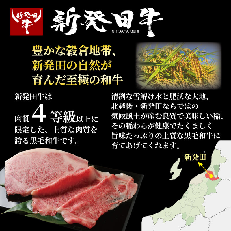 【新潟の宝】 サーロイン ステーキ 牛肉 400g~1.6kg にいがた和牛 和牛 新発田牛 赤身 焼肉 特選 贅沢 厳選和牛 ブランド牛 ギフト 贈答 お歳暮 enomoto010P