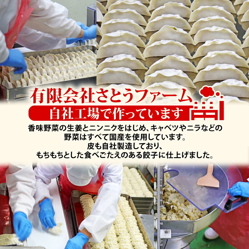 餃子 冷凍 30個 × 2袋 計 60個入り 和豚もちぶた 赤身 ニンニク 生姜 国産 野菜 使用 冷凍餃子 簡単 焼くだけ ギョウザ ぎょうざ 解凍 お手軽  豚肉 ぶた 豚 I70