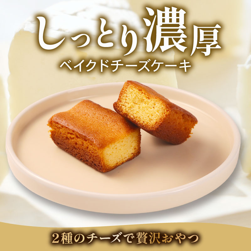 ブルボン スローバー ベイクドチーズケーキ 計18本 ｜9本 2箱セット bourbon ダイエット 朝食 フィットネス おやつ お菓子 菓子 防災 非常食 登山 携行食 行動食 ブルボン 新潟県 新発田市 bourbon015