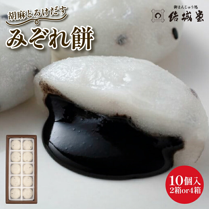 みぞれ餅 胡麻 10個入り 選べる 2~4箱 胡麻饅頭 ごま饅頭 冷凍 和菓子 スイーツ 月岡 月岡温泉 お菓子 ご褒美 贈答用 お土産 老舗 結城堂 新潟県 新発田市 yukido010_01P