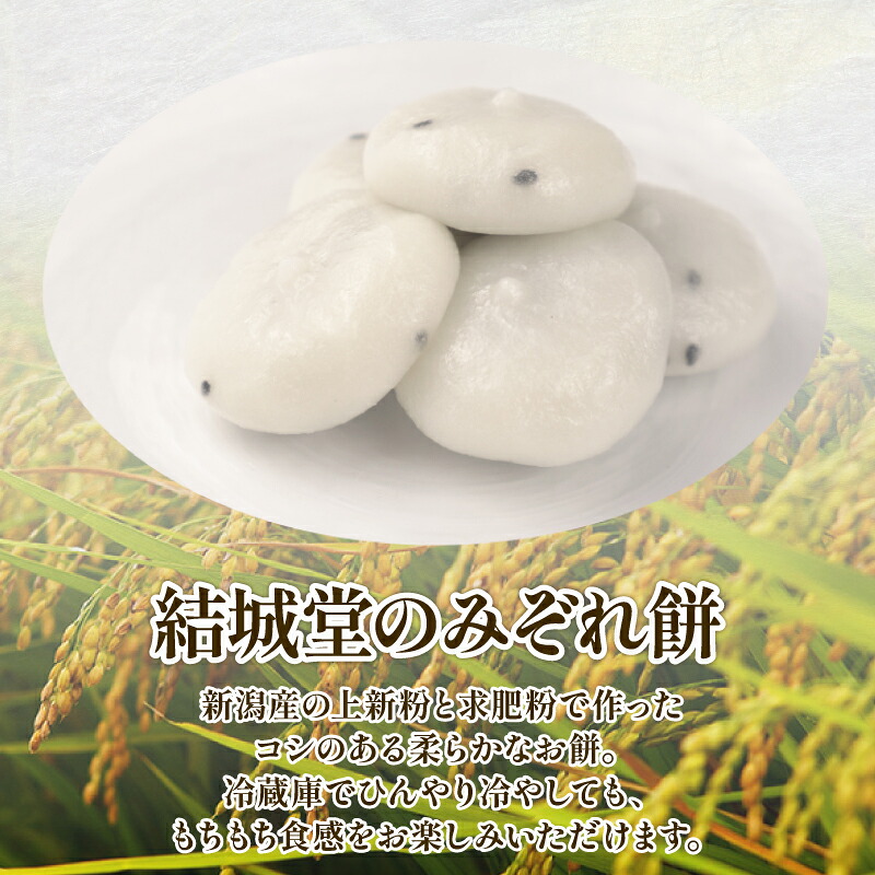 みぞれ餅 胡麻 10個入り 選べる 2~4箱 胡麻饅頭 ごま饅頭 冷凍 和菓子 スイーツ 月岡 月岡温泉 お菓子 ご褒美 贈答用 お土産 老舗 結城堂 新潟県 新発田市 yukido010_01P