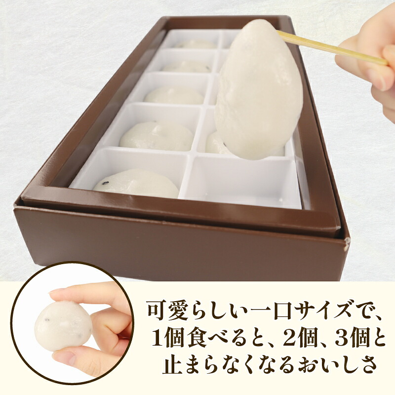 みぞれ餅 胡麻 10個入り 選べる 2~4箱 胡麻饅頭 ごま饅頭 冷凍 和菓子 スイーツ 月岡 月岡温泉 お菓子 ご褒美 贈答用 お土産 老舗 結城堂 新潟県 新発田市 yukido010_01P