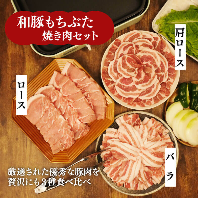和豚 もちぶた 焼肉 1.5kg 食べ比べ ブランド豚 焼肉用 和豚もちぶた バラ ロース 肩ロース ばら 豚バラ  豚肉 肉 にく 肉料理 夕食 晩ごはん ポーク おかず katayama0002