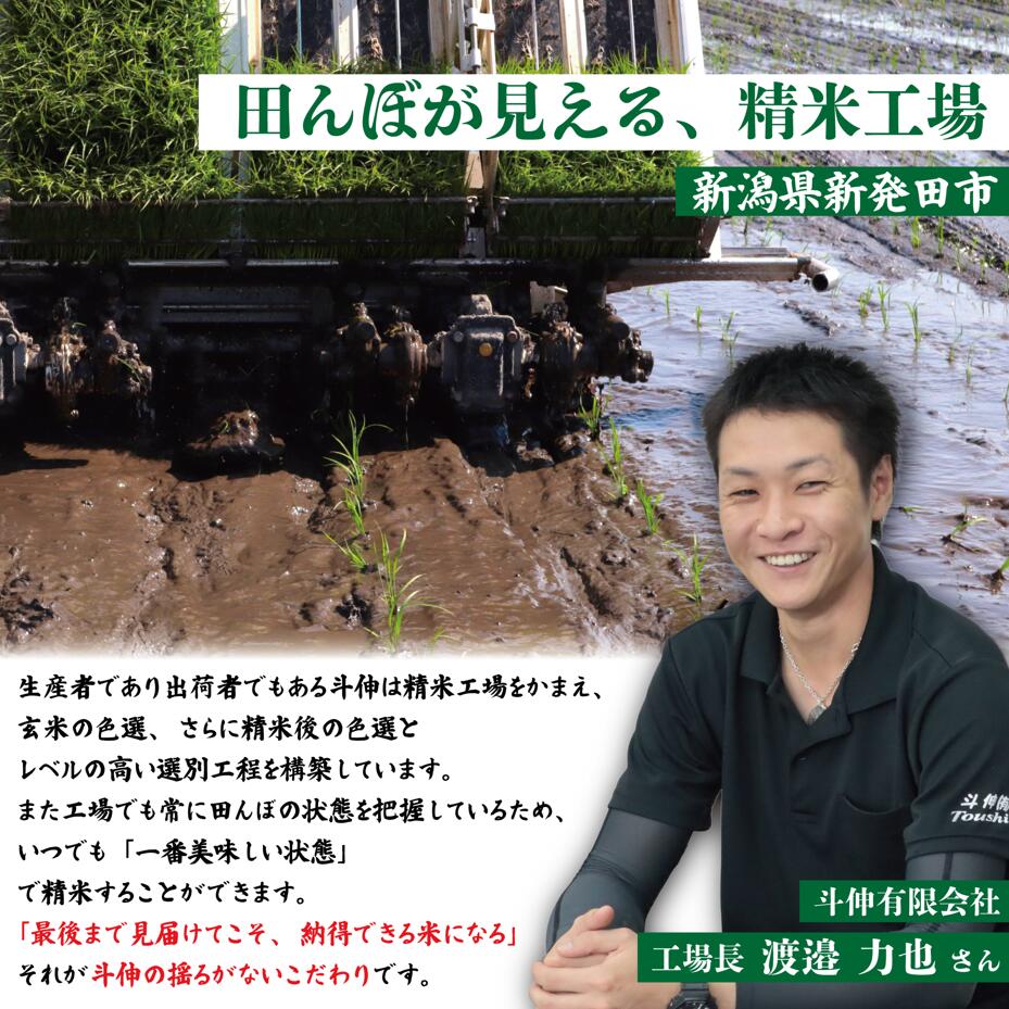令和8年産 新米 コシヒカリ 無洗米 白米 玄米 5kg 10kg 20kg 特別栽培米 こしひかり お米 米 ご飯 こめ ごはん 新潟県 新発田市 斗伸  toushin001_R8P