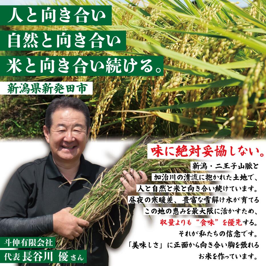 令和8年産 新米 コシヒカリ 無洗米 白米 玄米 5kg 10kg 20kg 特別栽培米 こしひかり お米 米 ご飯 こめ ごはん 新潟県 新発田市 斗伸  toushin001_R8P