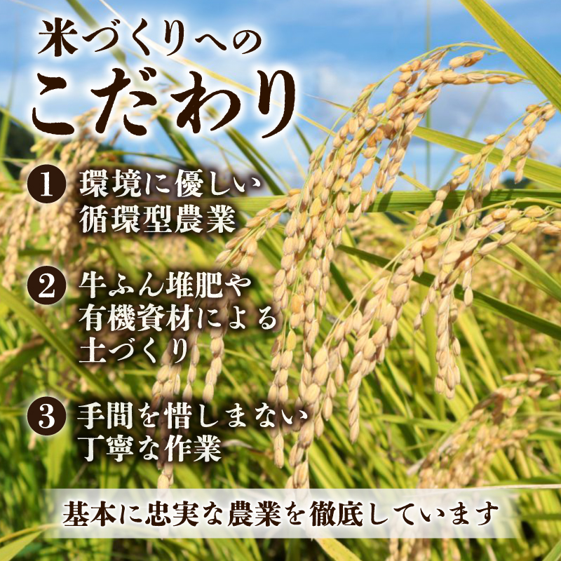 令和8年産 新潟こしひかり 5kg 10kg 越後二王子こしひかり 米 精米 白米 コシヒカリ 農事組合法人二王子 ninoji003P