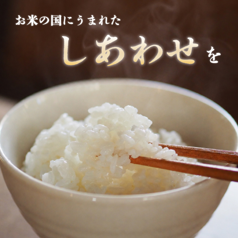 令和8年産 新潟こしひかり 5kg 10kg 越後二王子こしひかり 米 精米 白米 コシヒカリ 農事組合法人二王子 ninoji003P
