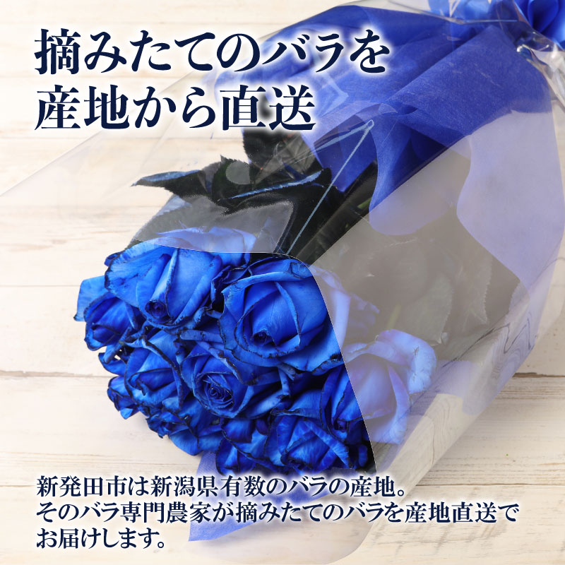【日時指定可】青バラの花束 誕生日 プレゼント クリスマス ギフト 花束 バラ 青 10本 花 生花 ブーケ 薔薇 ローズ 青い染めバラ 花 お祝い 新発田市 新潟県 G06_01